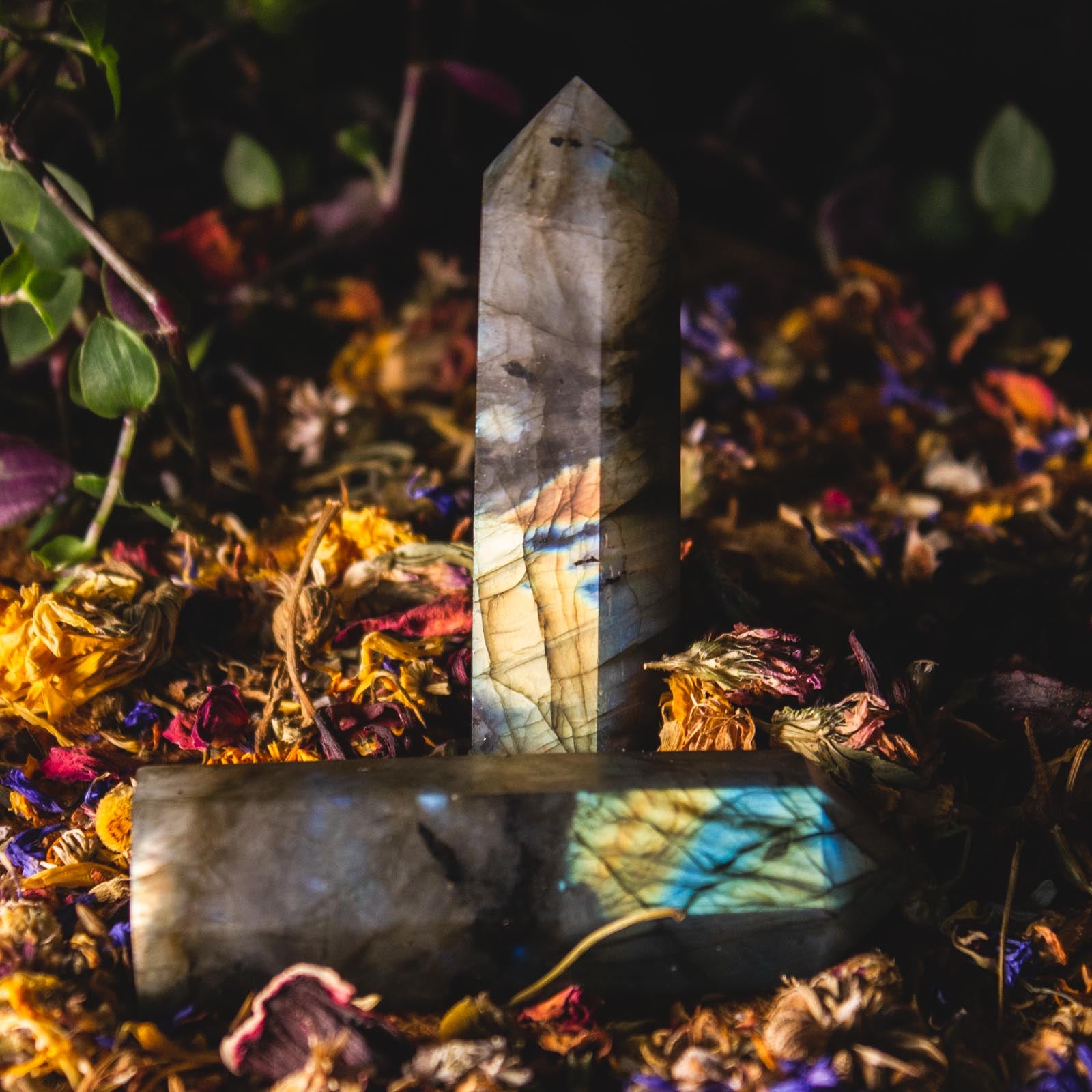 Flashy Labradorite Crystal Point, for Insecurities, Faith, and Spiritual Awakening