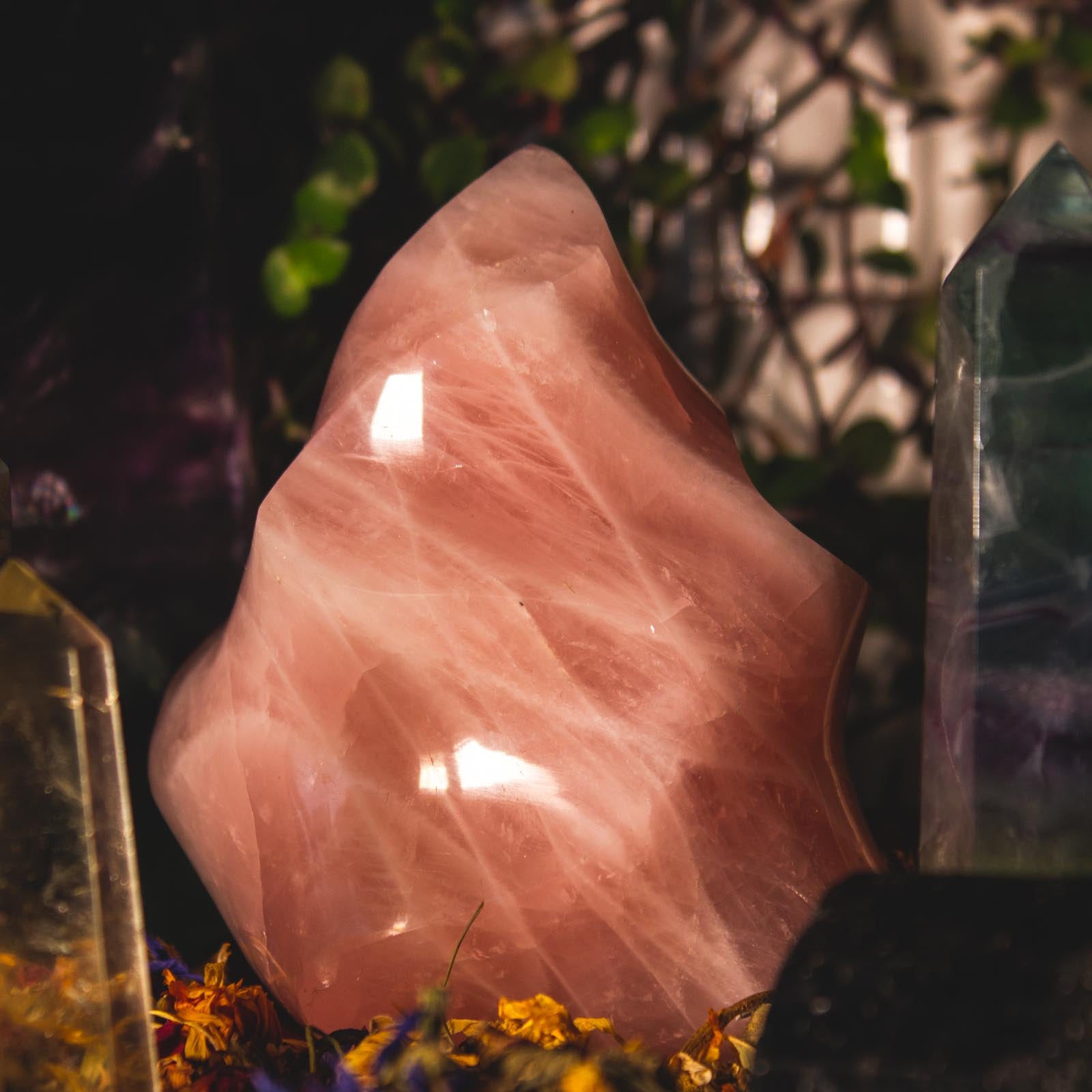 Large Rose Quartz Crystal Flame, for Love, Relationships, and Peace