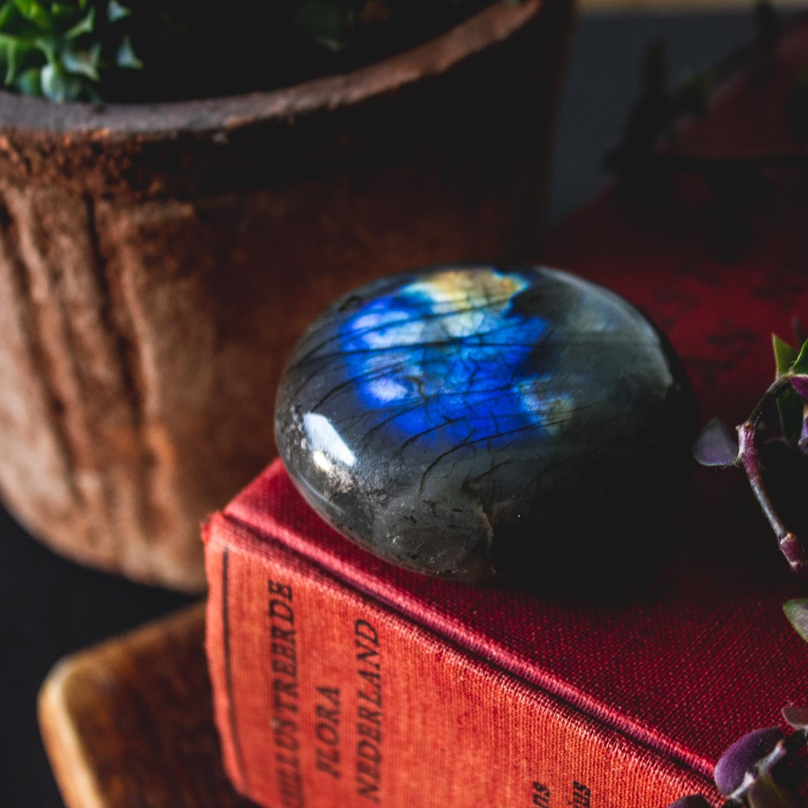 Unlock Peace & Power: Harness Labradorite for Ultimate Protection