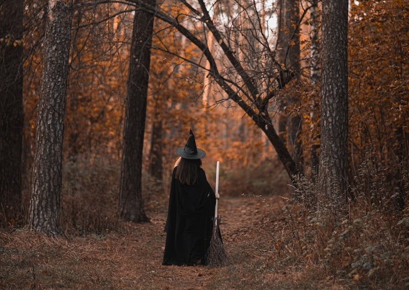 Why do Witches Ride Broomsticks? & other Witchy Questions Answered!