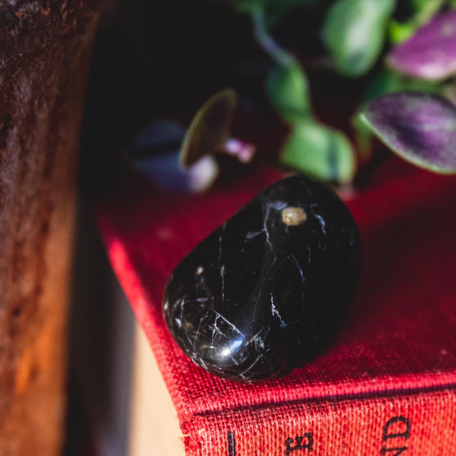 Ethical Black Tourmaline Healing Crystal for Protection, Grounding, and Balancing