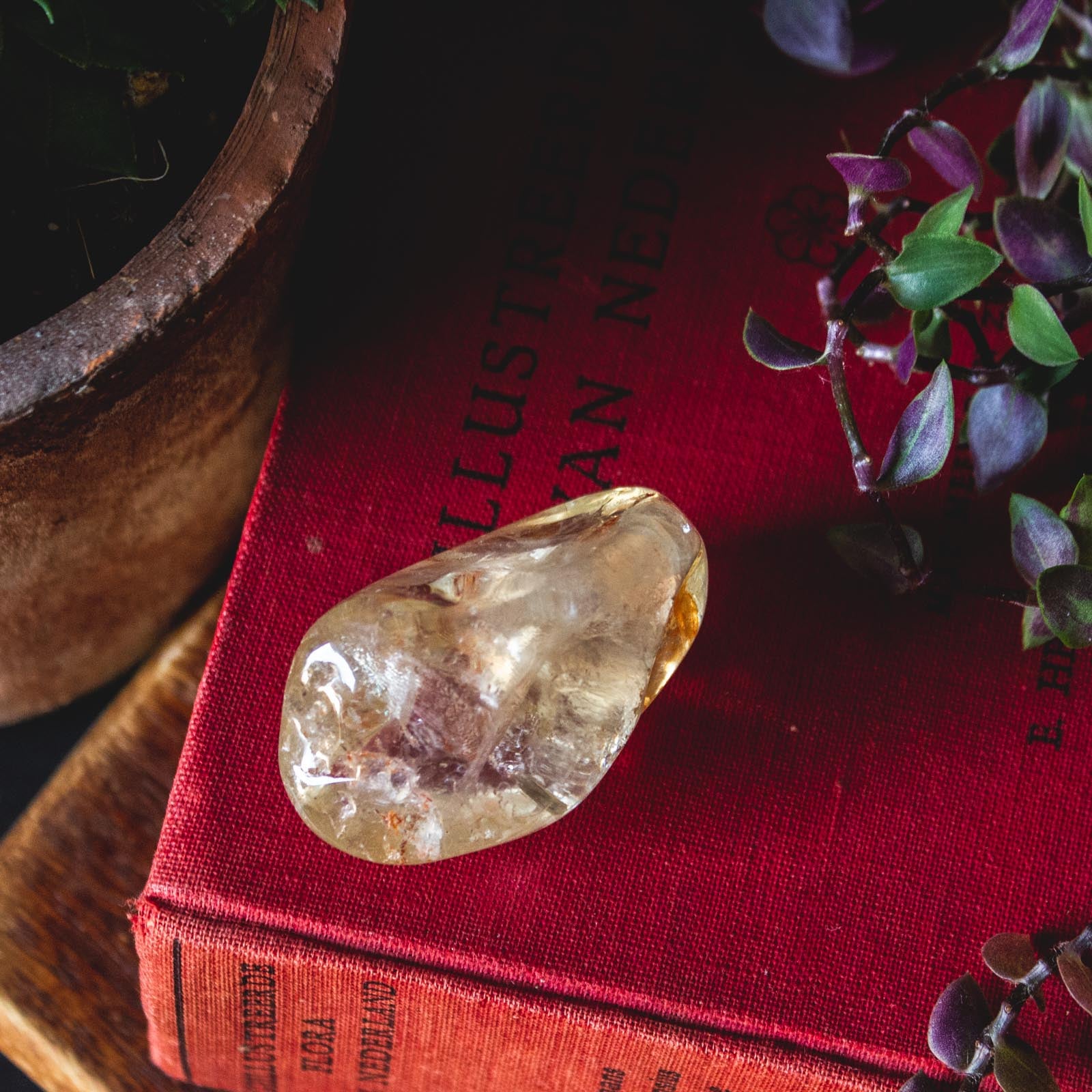 Ethical Citrine Healing Crystal for Cleansing, Warmth, and Energy