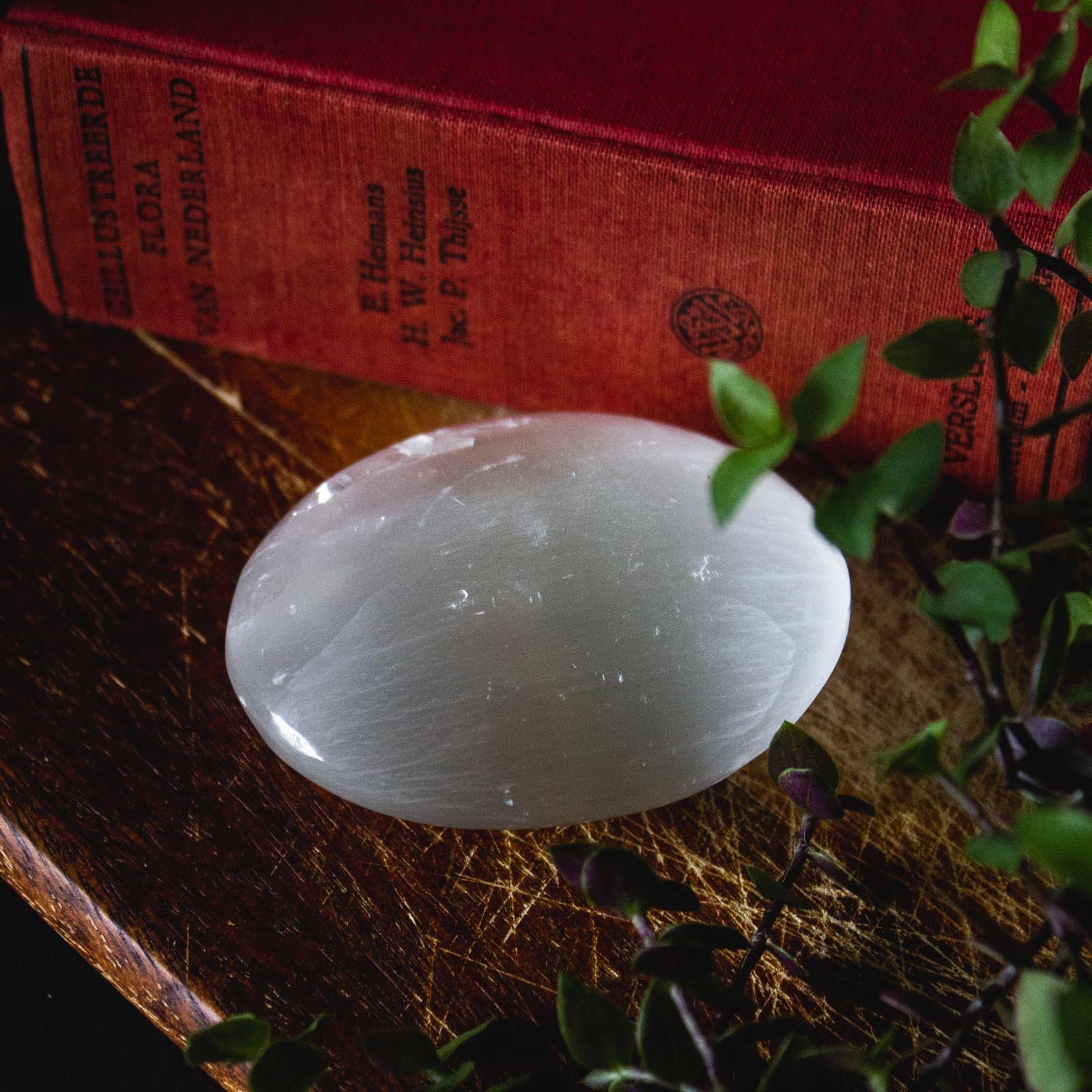 Large Selenite Healing Crystal, for Cleansing, Protection, and Light
