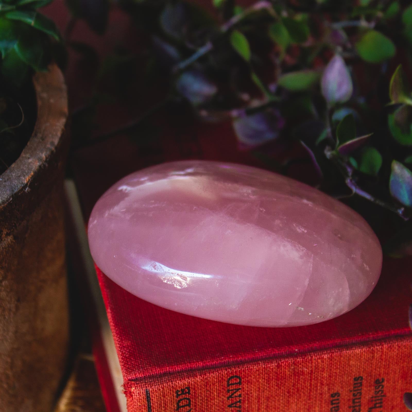 Large Rose Quartz Palm Stone for Love, Relationships, and Peace