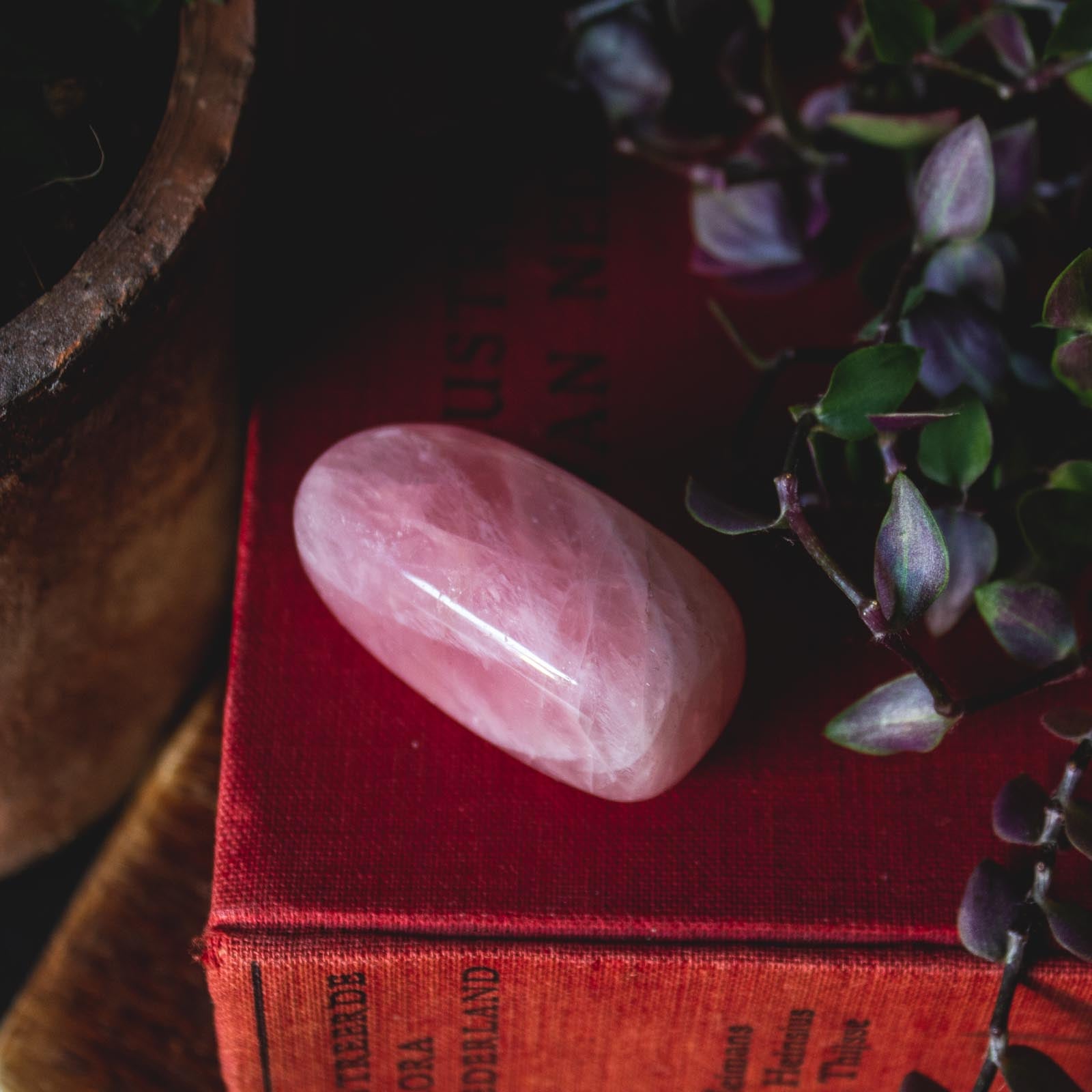Ethical Rose Quartz Healing Crystal for Love, Relationships, and Peace